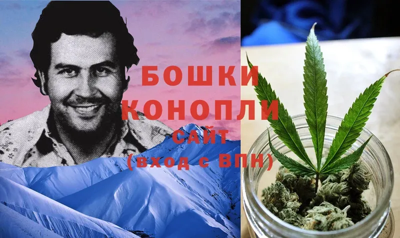 купить   Бийск  Бошки Шишки THC 21% 